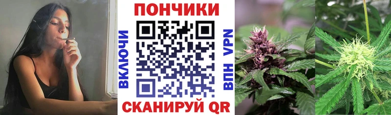продажа наркотиков  Каменногорск  Каннабис конопля 